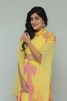 Dhanya Balakrishna New Photo Images